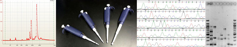 Photos of graphs and pipettors