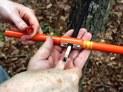 Photo of taking a tree sample