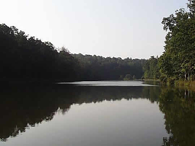 Photo of a Georgia lake