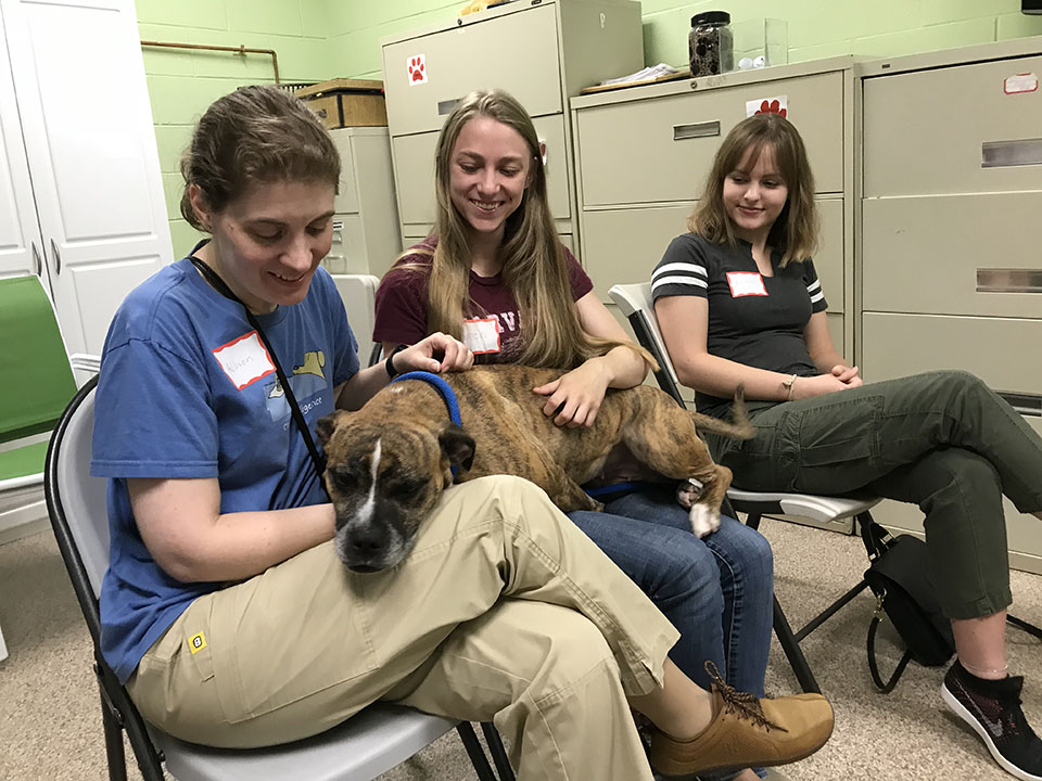 Dr. Martin and research assistants Lauren Faulkner and Christina Walthers attend orientation at Mostly Mutts