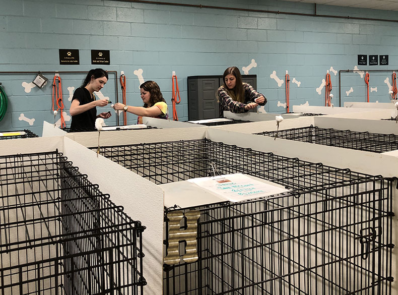Undergraduate researchers Lauren Mitchell, Maddie Pattillo, and Jessie Catchpole add scent enrichment to a room at Mostly Mutts