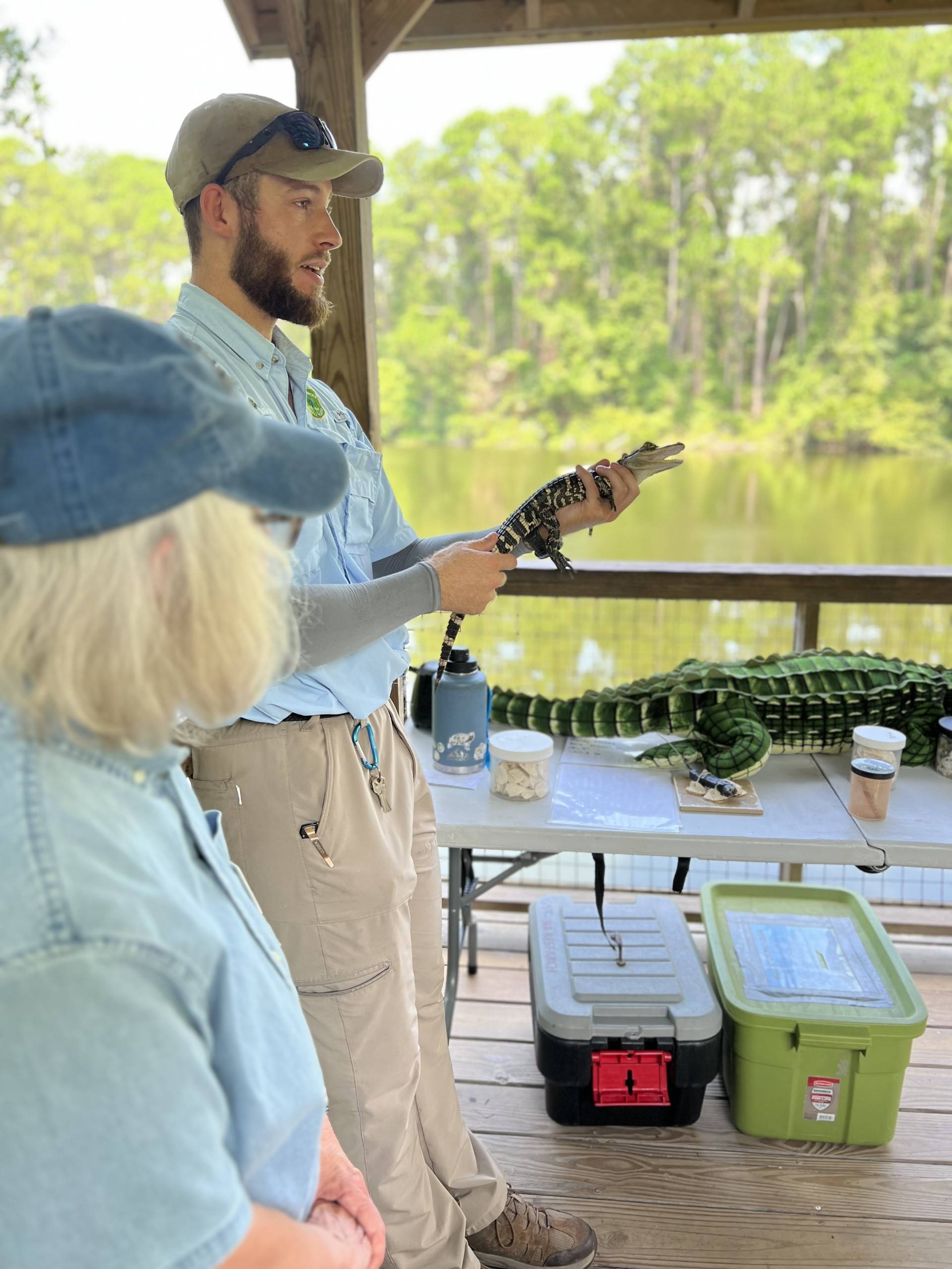 gator