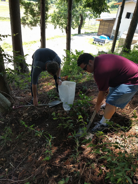 Soil sampling in Japan