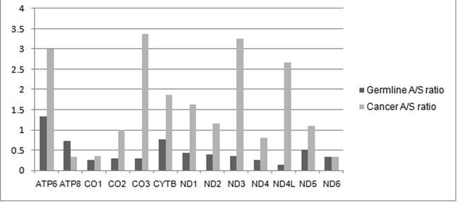 Figure 2 is a graph for the rate of amino acid changing mutations in mtDNA  is much higher in a cancer tumor than occurs at the whole organism level. 