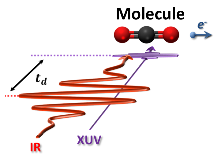 Molecule