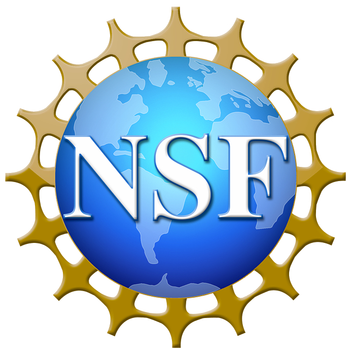 NSF Logo jpeg