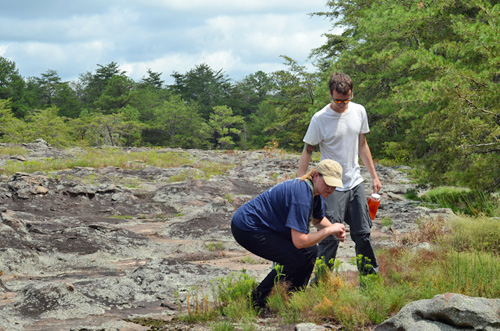 Photo of students working in field