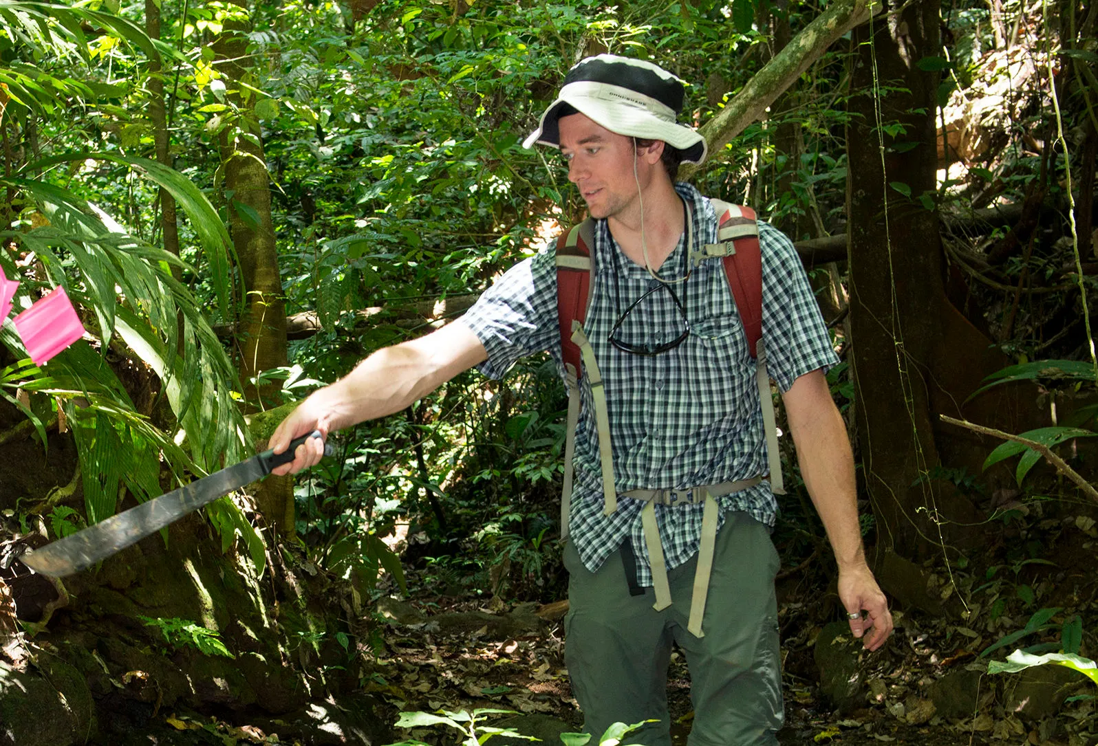 PI Bretfeld in the field in Panama