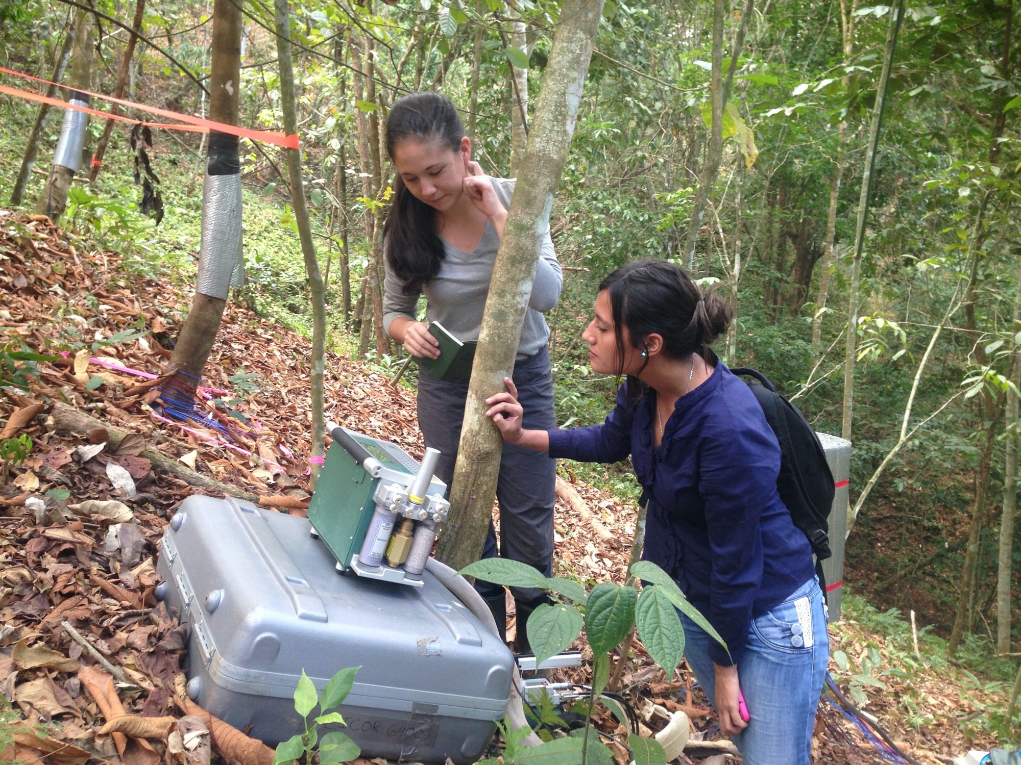 students collecting data in Panama