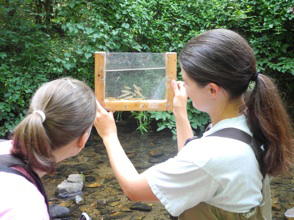 Photo of 2 students collecting water and fish samples