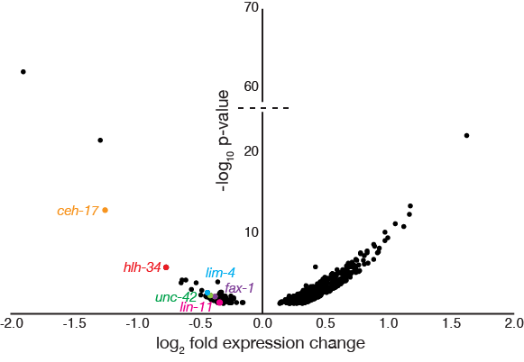 volcano plot showing expression changes of transcription factors in neurogenin mutants