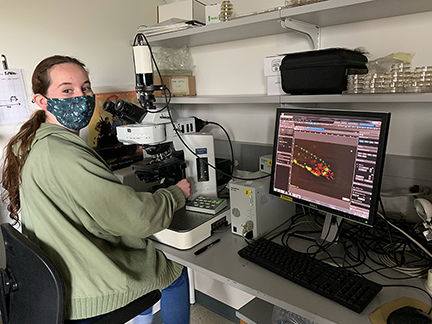 Undergraduate doing microscopy