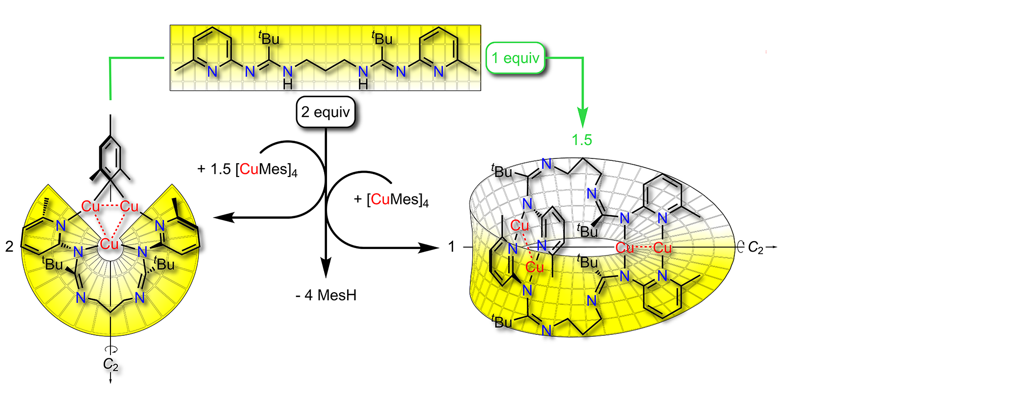 ToC-CC24