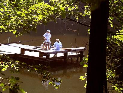 Photo of Dr. Paula Jackson and students conducting research at a lake