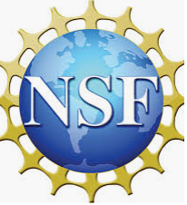 NSF