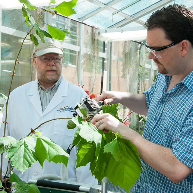 Photo of Sigurdur Greipssonand student in lab