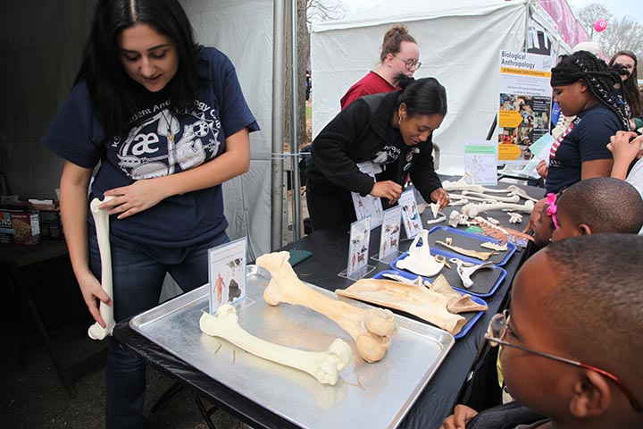 three KSU students showing bones to children